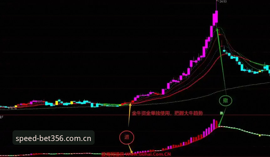 揭秘bet356中文版赛事评测：三个核心指标帮你决策